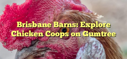 Brisbane Barns: Explore Chicken Coops on Gumtree 